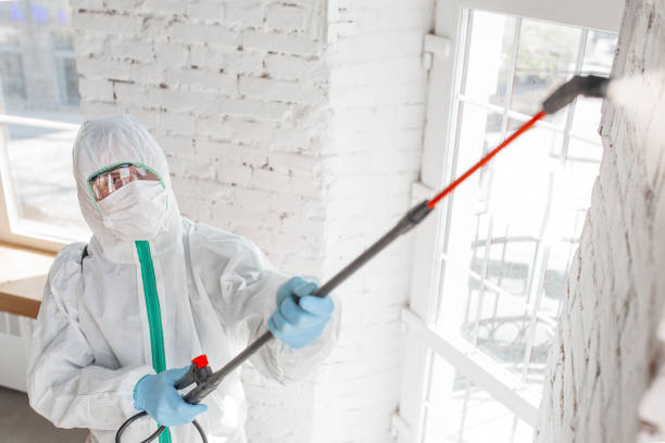 Best Residential Mold Inspection & Testing  in South Plainfield, NJ