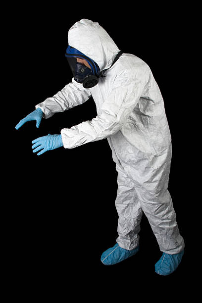 Best Attic Mold Removal  in South Plainfield, NJ