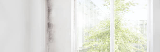 Best Indoor Air Quality Assessment  in South Plainfield, NJ
